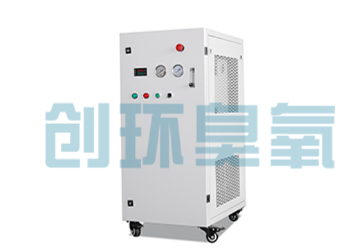 白银石斑鱼养殖水质调控完整指南：臭氧发生器配置与操作步骤