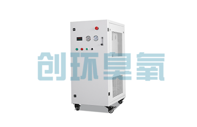 白银比传统换水更高效？臭氧发生器在石斑鱼养殖中的水质净化原理解析