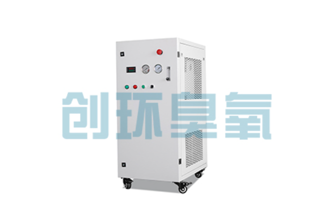 白银比传统换水更高效？臭氧发生器在石斑鱼养殖中的水质净化原理解析